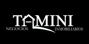 Alberto Tamini