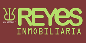 Reyes Inmobiliaria