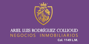 Ariel Luis Rodríguez Collioud - Negocios Inmobiliarios
