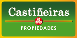 Castiñeiras propiedades