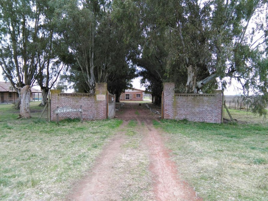 Haras, Campo, 127 Has. Las Flores. Excelente Ubicación