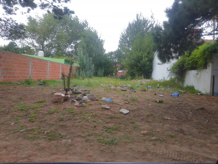 lote