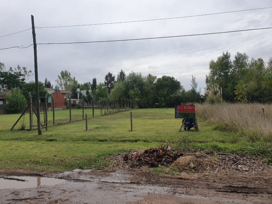 MAGNIFICOS LOTES CERCADOS EN DOMSELAAR EN VENTA. 400 M² C/U