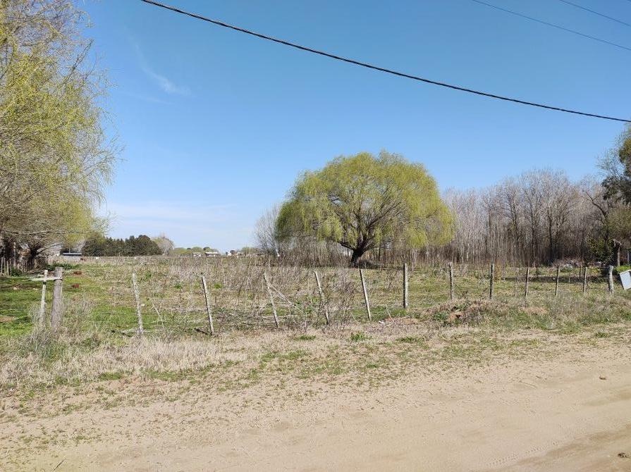 Amplio lote  en Pavón.Una cuadra de Av.Gal  Permuta Ostende de pozo o