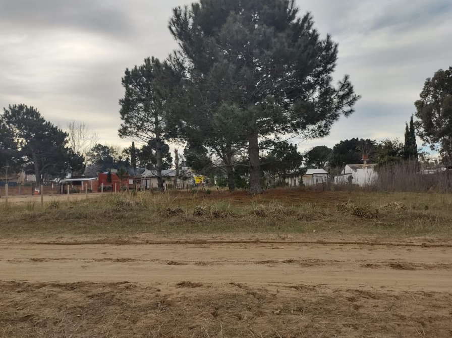 HERMOSO LOTE Y AMPLIO , CERCA DEL MAR