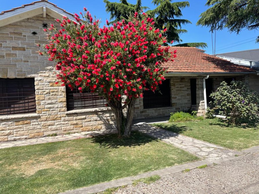 IMPONENTE PROPIEDAD CON 3 DTOS. IMPLATADA EN LOTE DE 700mts²ALEM 1750 BURZACOmts²