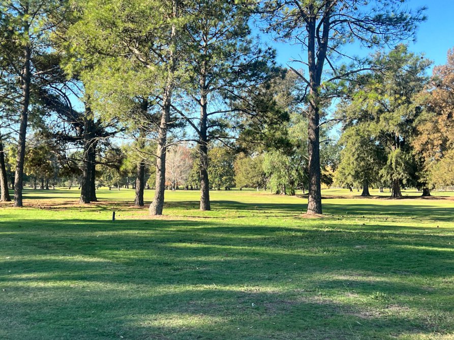 Lote en Venta 900 m² Barrio Privado Lomas Athletic Club Sede Links