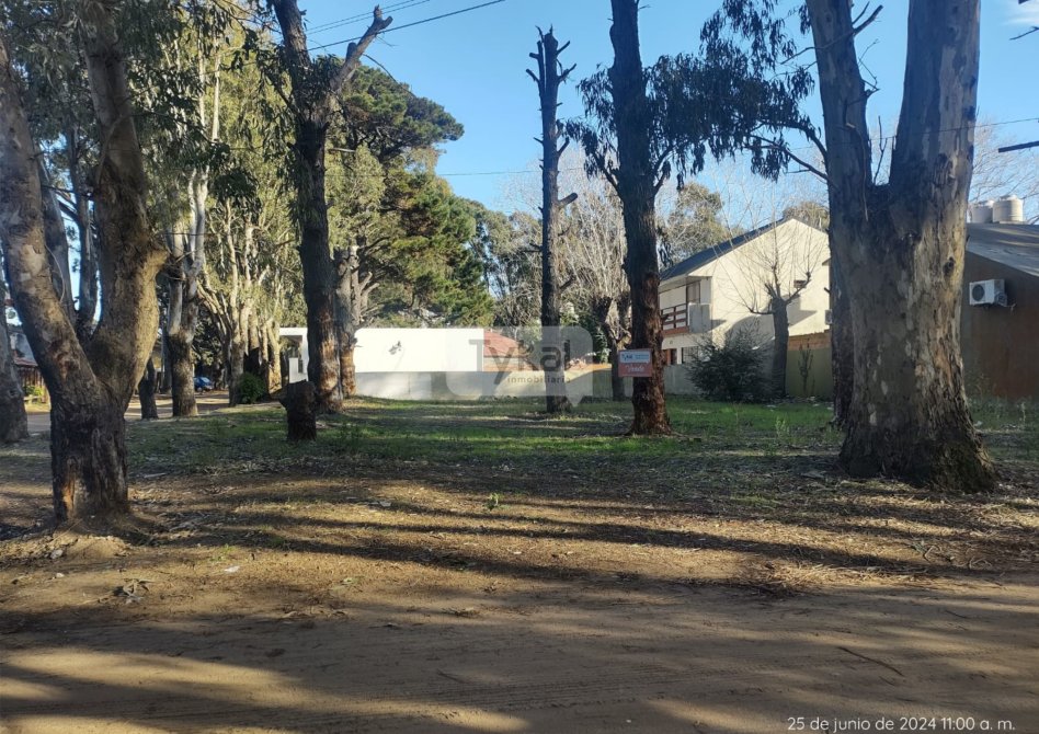 LOTE A DOS CUADRAS DE AVENIDA SAN BERNARDO! acepta cuotas