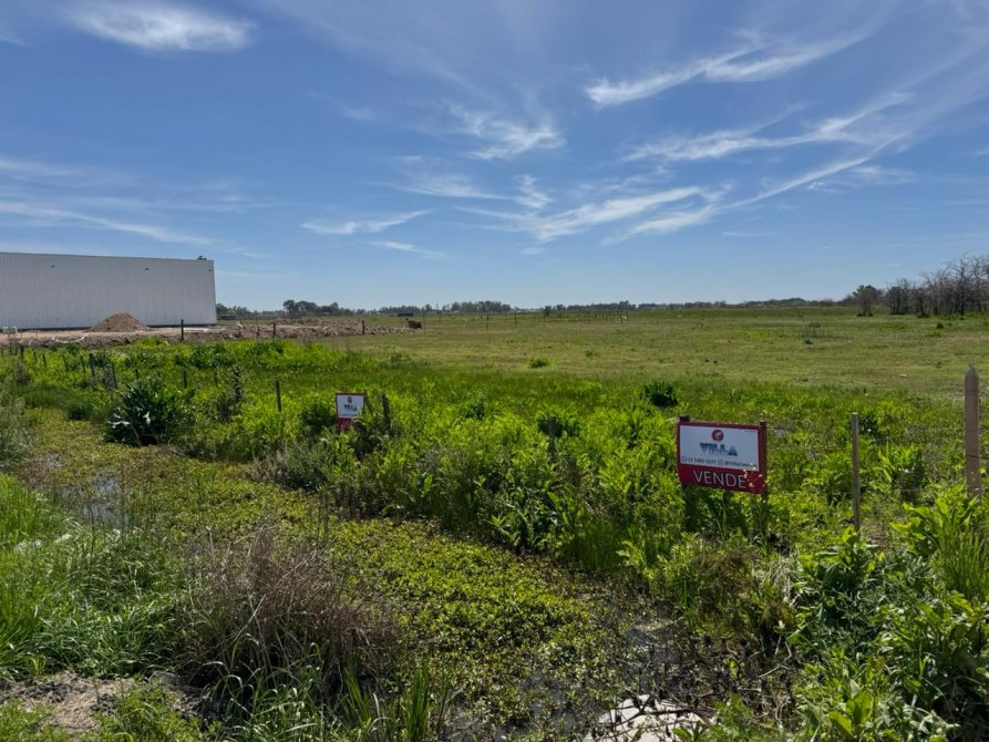VENTA - Lote 3200m sobre Av. Rivadavia - San Vicente
