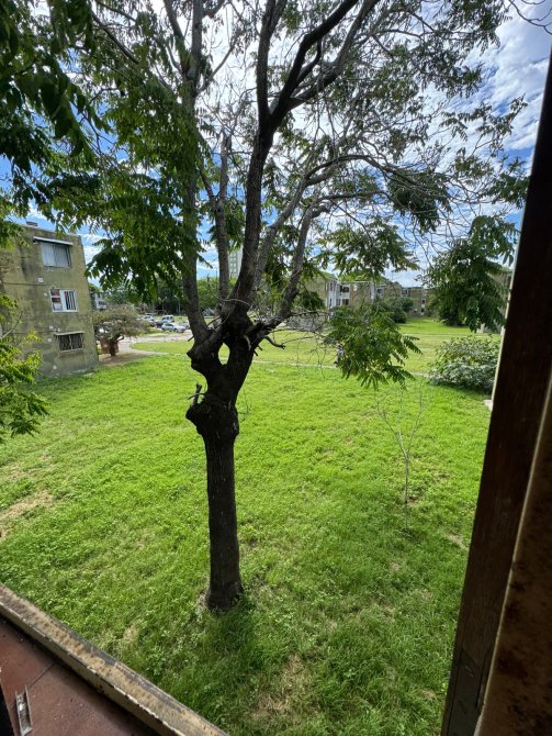Barrio 420 Edificio 4, Palier B - 3 amb en 1er piso por escalera