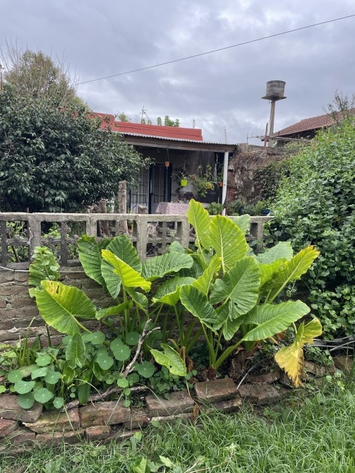 VENTA CASA 4 AMBIENTES CON AMPLIO TERRENO EN CLAYPOLE