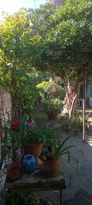 Casa en alquiler insua 621